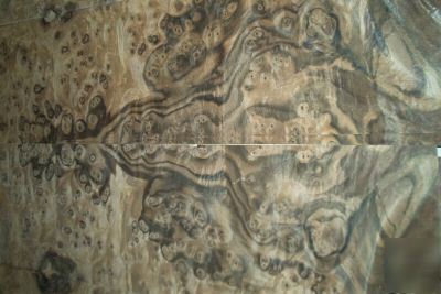 Walnut burl veneer 13 @ 6'' x 31'' [1647]