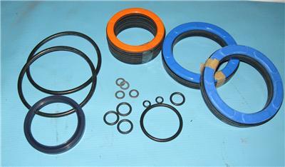 Motion/seals unlimited hydraulic cylinder seal kit