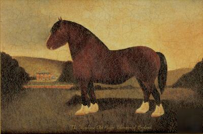 Framed farm /pub picture shire horse champion old major
