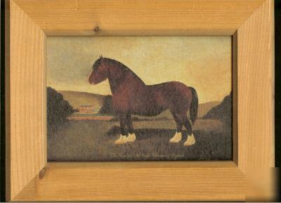 Framed farm /pub picture shire horse champion old major
